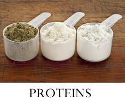 Which Protein Is Right For You?